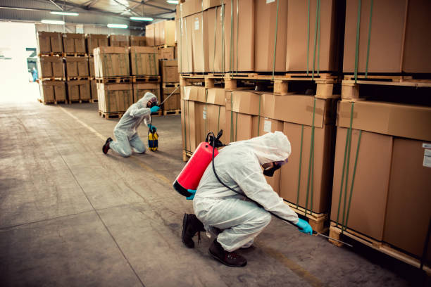 Best Pest Inspection Near Me  in Roanoke, AL