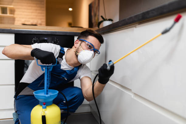 Professional Pest Control in Roanoke, AL