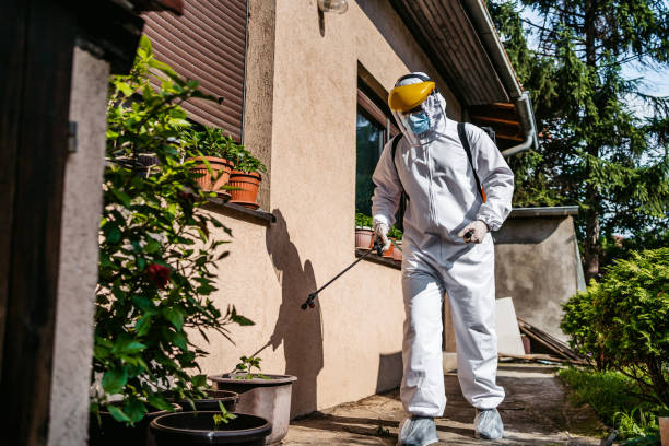 Best Flea Control Services  in Roanoke, AL