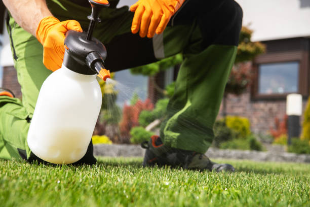 Best Termite Control Services  in Roanoke, AL