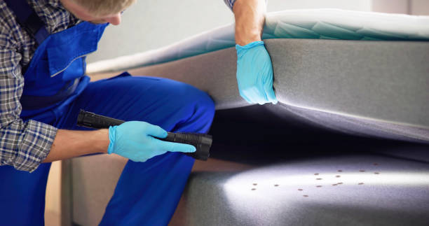 Best Ant Control Services  in Roanoke, AL