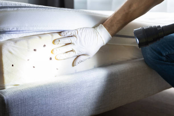 Best Pest Prevention Services  in Roanoke, AL